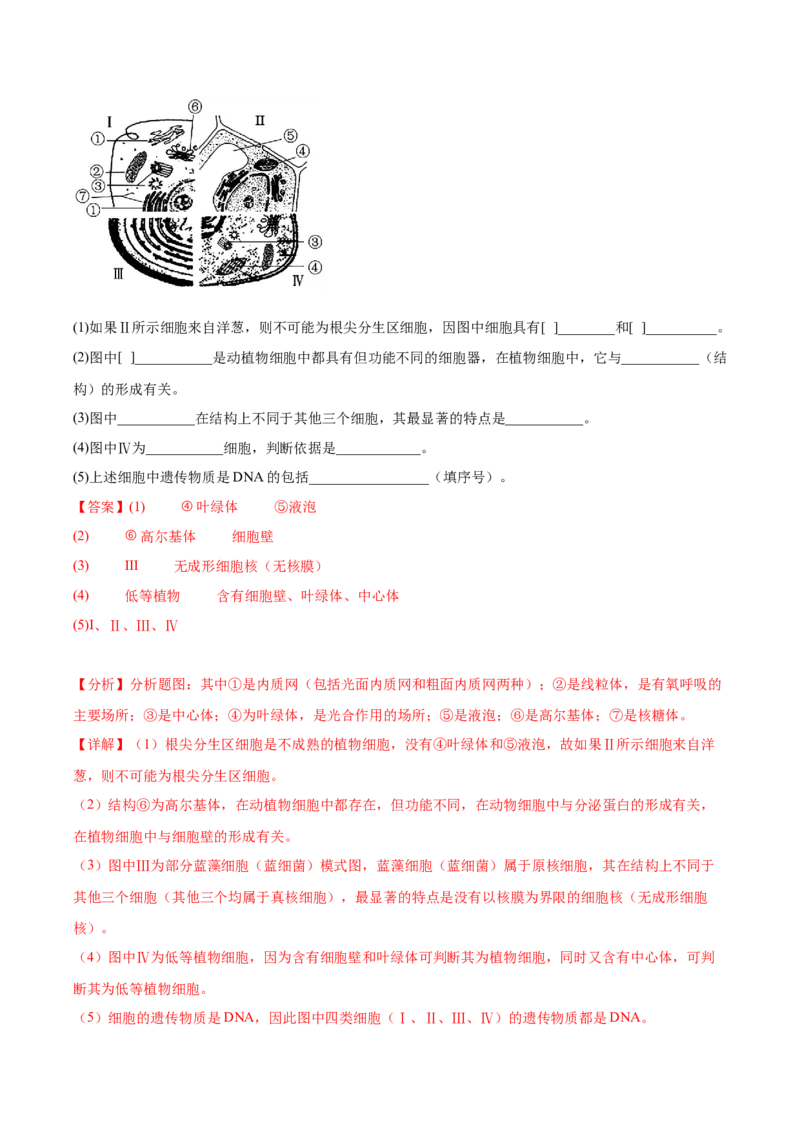 考点通关卷06细胞器和生物膜系统（解析版）_2024年新高考资料_1.2024一轮复习_2024年高考生物一轮复习考点通关卷（新高考通用）