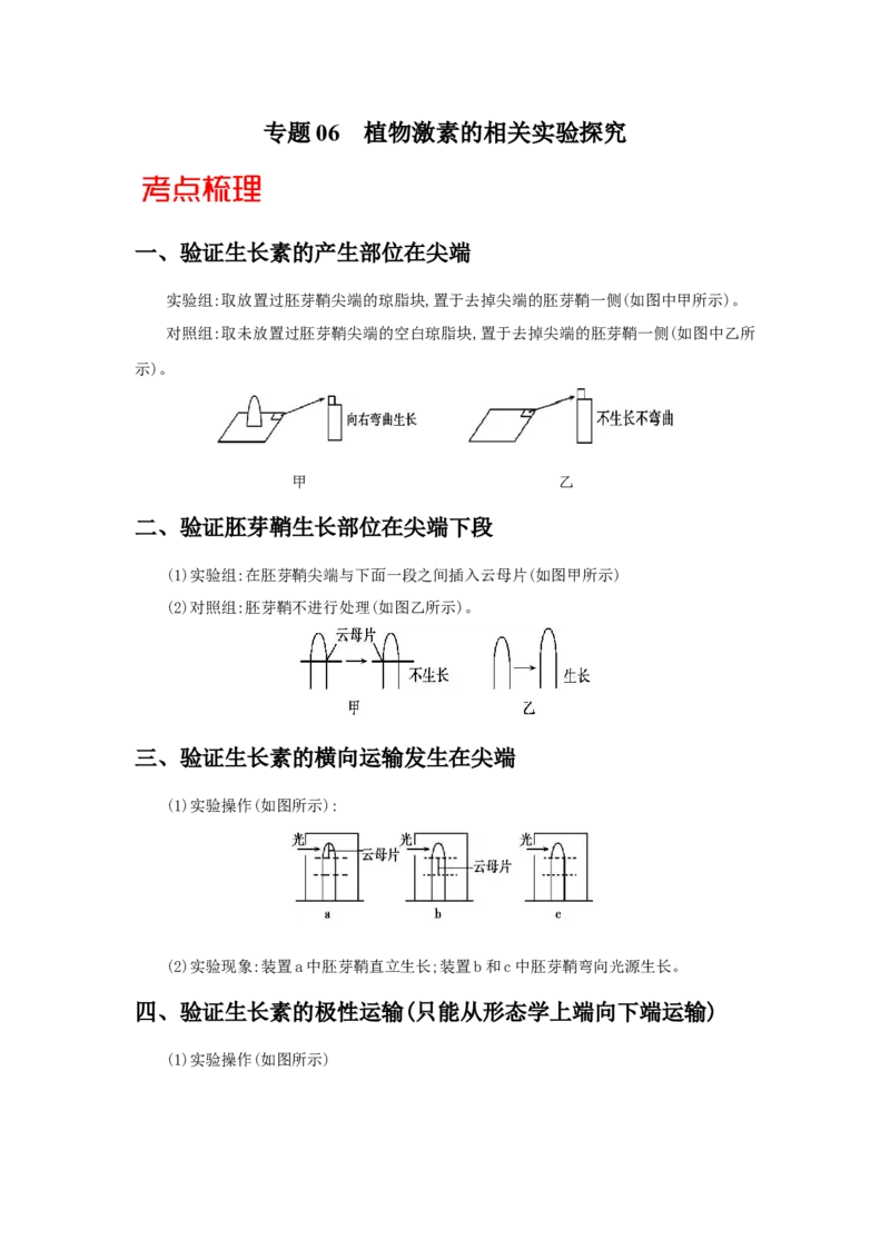专题06植物激素的相关实验探究-备战2021年高考生物核心考点透析（原卷版）_新高考复习资料_2021年新高考资料_备战2021年高考生物核心考点透析