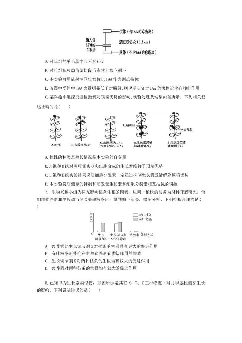 专题06植物激素的相关实验探究-备战2021年高考生物核心考点透析（原卷版）_新高考复习资料_2021年新高考资料_备战2021年高考生物核心考点透析