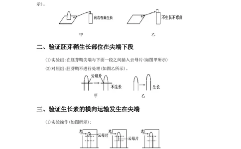 专题06植物激素的相关实验探究-备战2021年高考生物核心考点透析（原卷版）_新高考复习资料_2021年新高考资料_备战2021年高考生物核心考点透析