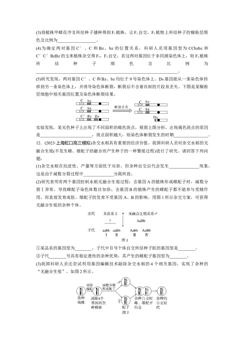 第5单元　课时练5　基因自由组合定律基础题型突破_2024年新高考资料_1.2024一轮复习_2024年高考生物一轮复习讲义（新人教版）_学生版在此文件夹_一轮复习69练_第五单元　基因的传递规律