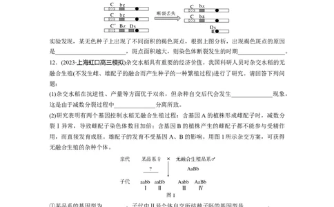 第5单元　课时练5　基因自由组合定律基础题型突破_2024年新高考资料_1.2024一轮复习_2024年高考生物一轮复习讲义（新人教版）_学生版在此文件夹_一轮复习69练_第五单元　基因的传递规律