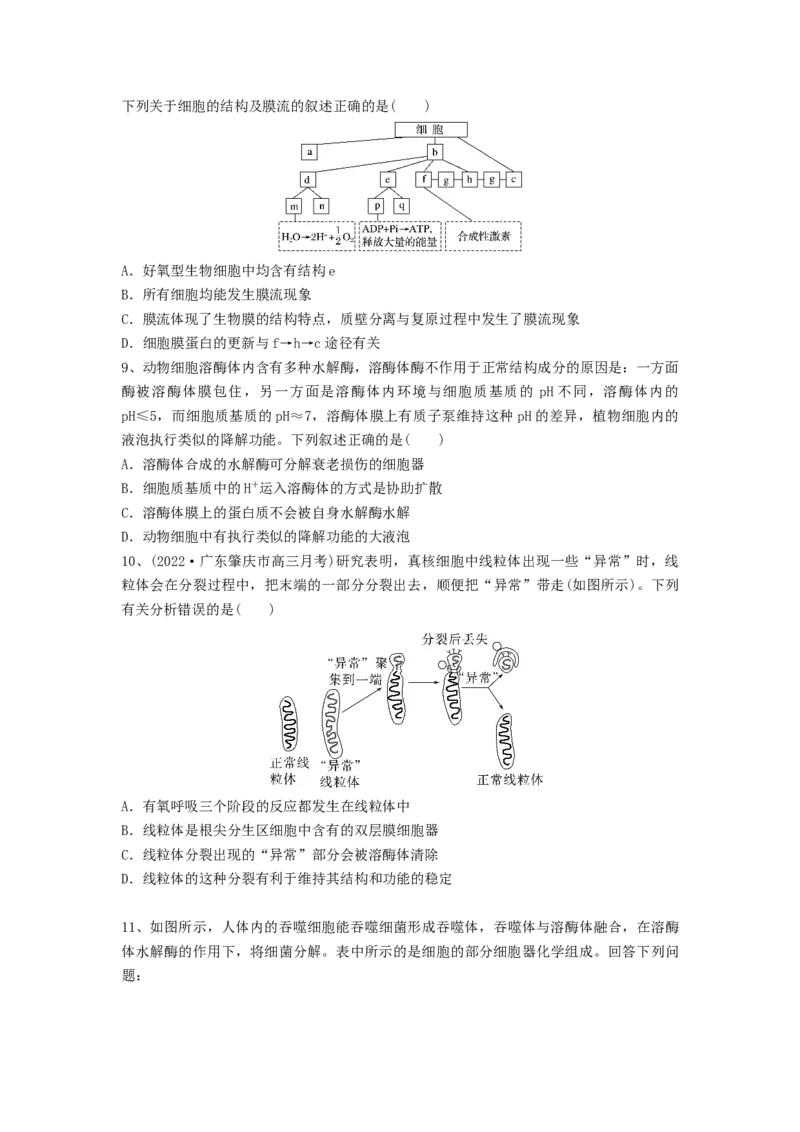 专题05细胞器和生物膜系统（精练）（原卷版）_新高考复习资料_2024年新高考复习资料_一轮复习资料_完备战2024年高考生物一轮复习串讲精练（新高考专用）_精练