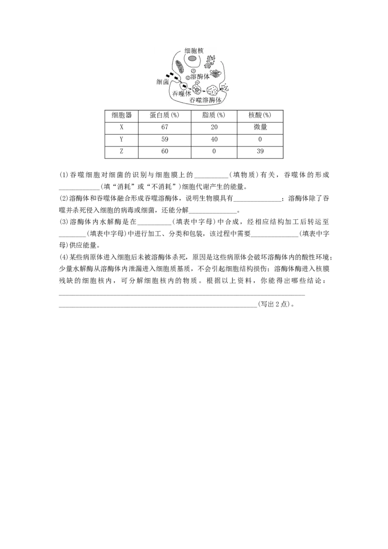 专题05细胞器和生物膜系统（精练）（原卷版）_新高考复习资料_2024年新高考复习资料_一轮复习资料_完备战2024年高考生物一轮复习串讲精练（新高考专用）_精练