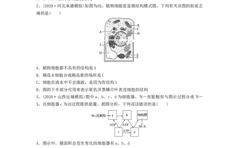 专题05细胞器和生物膜系统（精练）（原卷版）_新高考复习资料_2024年新高考复习资料_一轮复习资料_完备战2024年高考生物一轮复习串讲精练（新高考专用）_精练