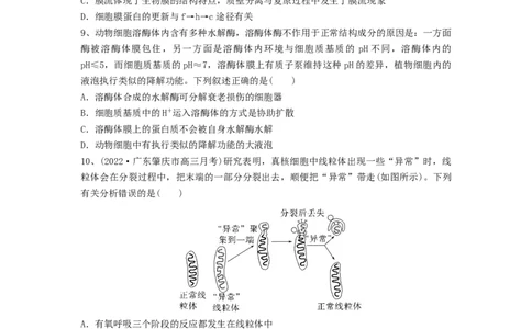 专题05细胞器和生物膜系统（精练）（原卷版）_新高考复习资料_2024年新高考复习资料_一轮复习资料_完备战2024年高考生物一轮复习串讲精练（新高考专用）_精练