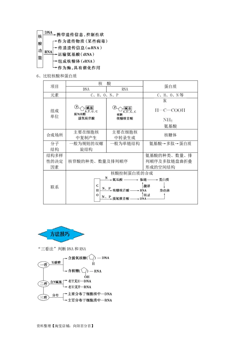 专题03蛋白质和核酸（串讲）（解析版）_新高考复习资料_2024年新高考复习资料_一轮复习资料_完备战2024年高考生物一轮复习串讲精练（新高考专用）_串讲_解析版