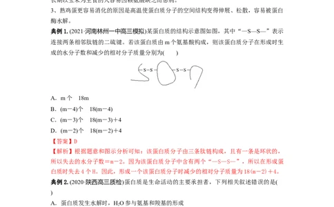 专题03蛋白质和核酸（串讲）（解析版）_新高考复习资料_2024年新高考复习资料_一轮复习资料_完备战2024年高考生物一轮复习串讲精练（新高考专用）_串讲_解析版