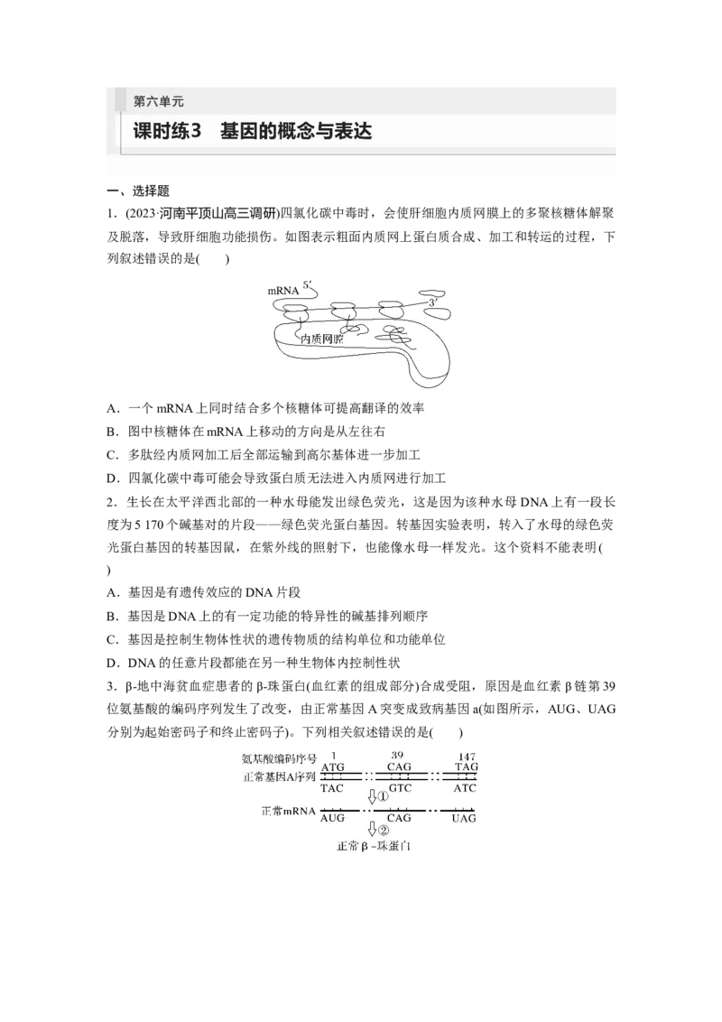 第6单元　课时练3　基因的概念与表达_2024年新高考资料_1.2024一轮复习_2024年高考生物一轮复习讲义（新人教版）_学生版在此文件夹_一轮复习69练_第六单元　遗传的物质基础