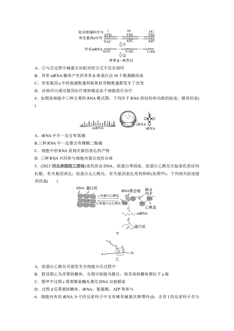 第6单元　课时练3　基因的概念与表达_2024年新高考资料_1.2024一轮复习_2024年高考生物一轮复习讲义（新人教版）_学生版在此文件夹_一轮复习69练_第六单元　遗传的物质基础