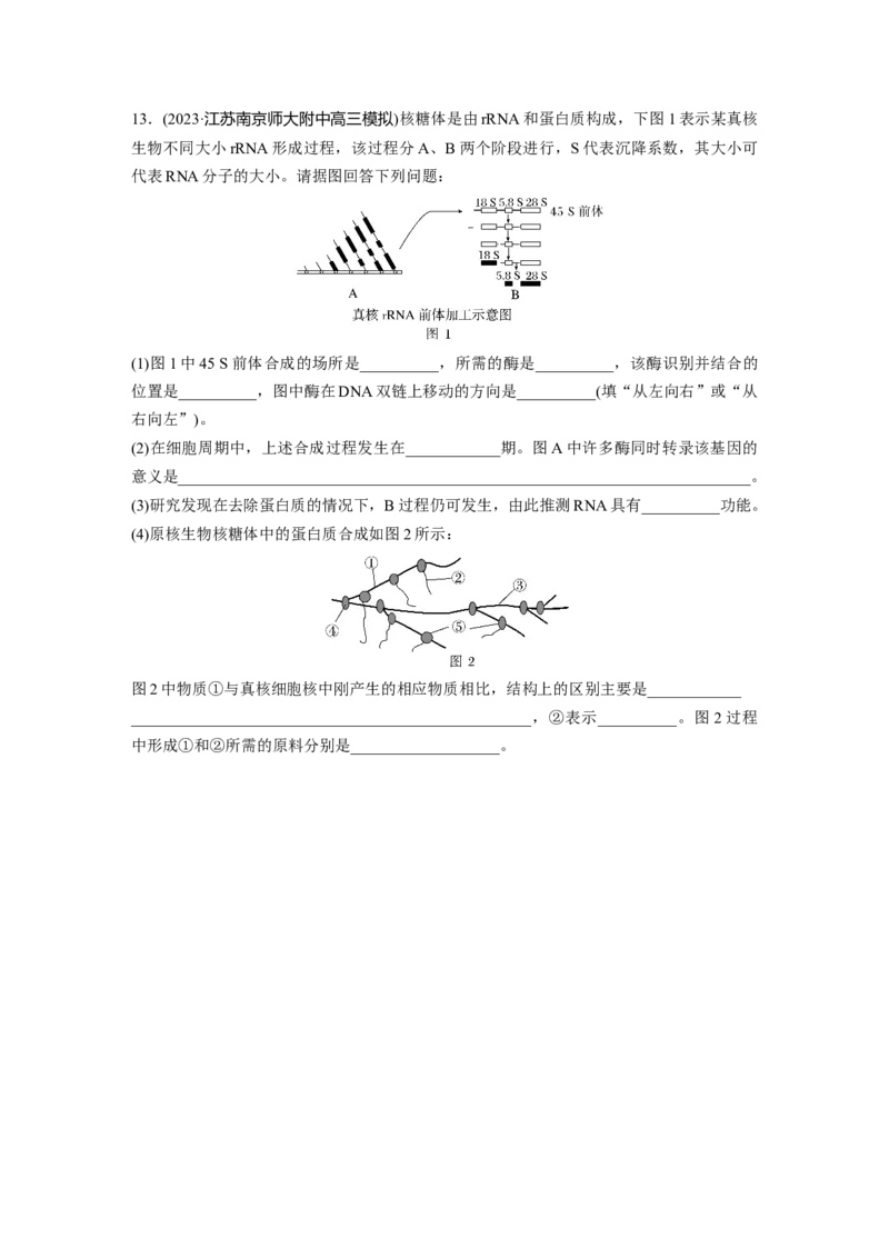 第6单元　课时练3　基因的概念与表达_2024年新高考资料_1.2024一轮复习_2024年高考生物一轮复习讲义（新人教版）_学生版在此文件夹_一轮复习69练_第六单元　遗传的物质基础