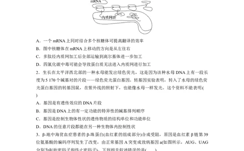 第6单元　课时练3　基因的概念与表达_2024年新高考资料_1.2024一轮复习_2024年高考生物一轮复习讲义（新人教版）_学生版在此文件夹_一轮复习69练_第六单元　遗传的物质基础