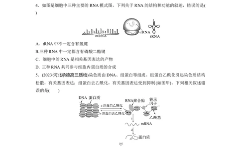 第6单元　课时练3　基因的概念与表达_2024年新高考资料_1.2024一轮复习_2024年高考生物一轮复习讲义（新人教版）_学生版在此文件夹_一轮复习69练_第六单元　遗传的物质基础