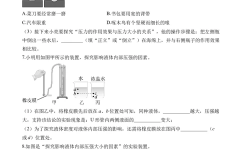 2025届中考物理压强冲刺提分练（8）（含解析）_8、物理总复习_2025年中考复习资料_2025届中考物理压强冲刺提分练