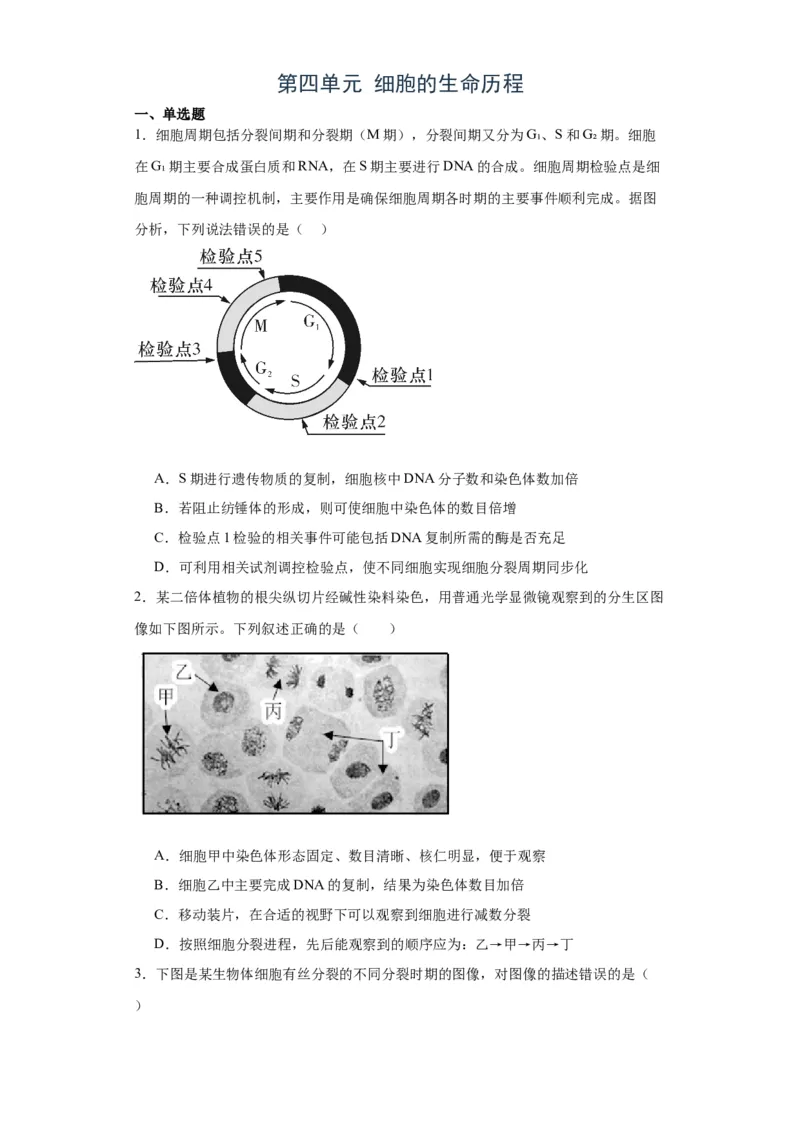 第四单元细胞的生命历程（测试卷）（原卷版)_2024年新高考资料_3.2024专项复习_备战2024年高考生物一轮复习重难点专项突破