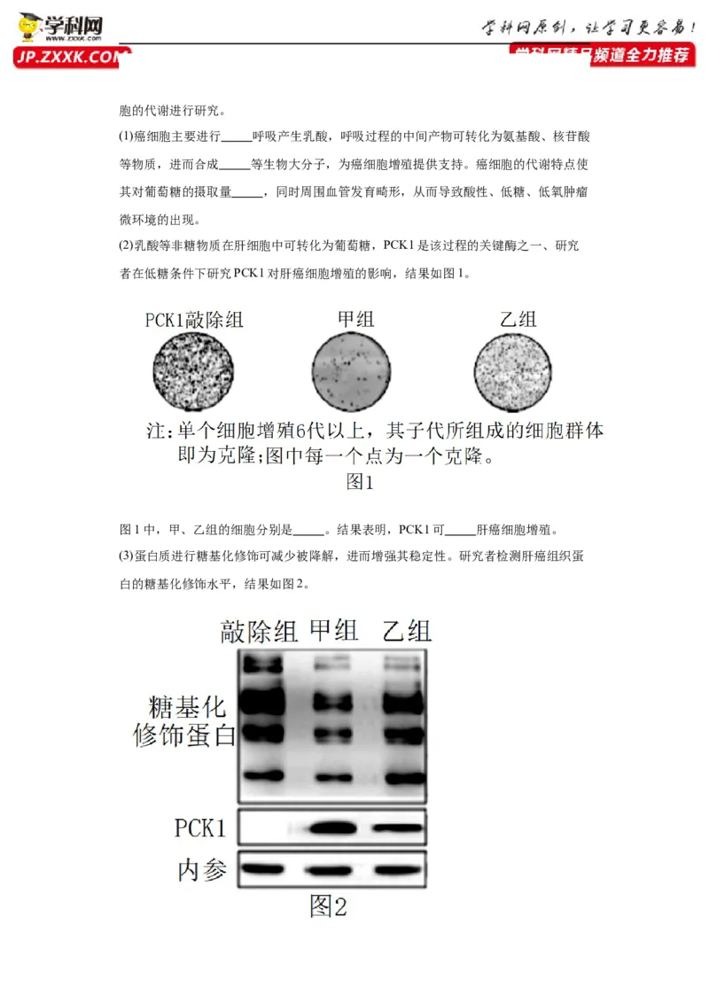 第四单元细胞的生命历程（测试卷）（原卷版)_2024年新高考资料_3.2024专项复习_备战2024年高考生物一轮复习重难点专项突破