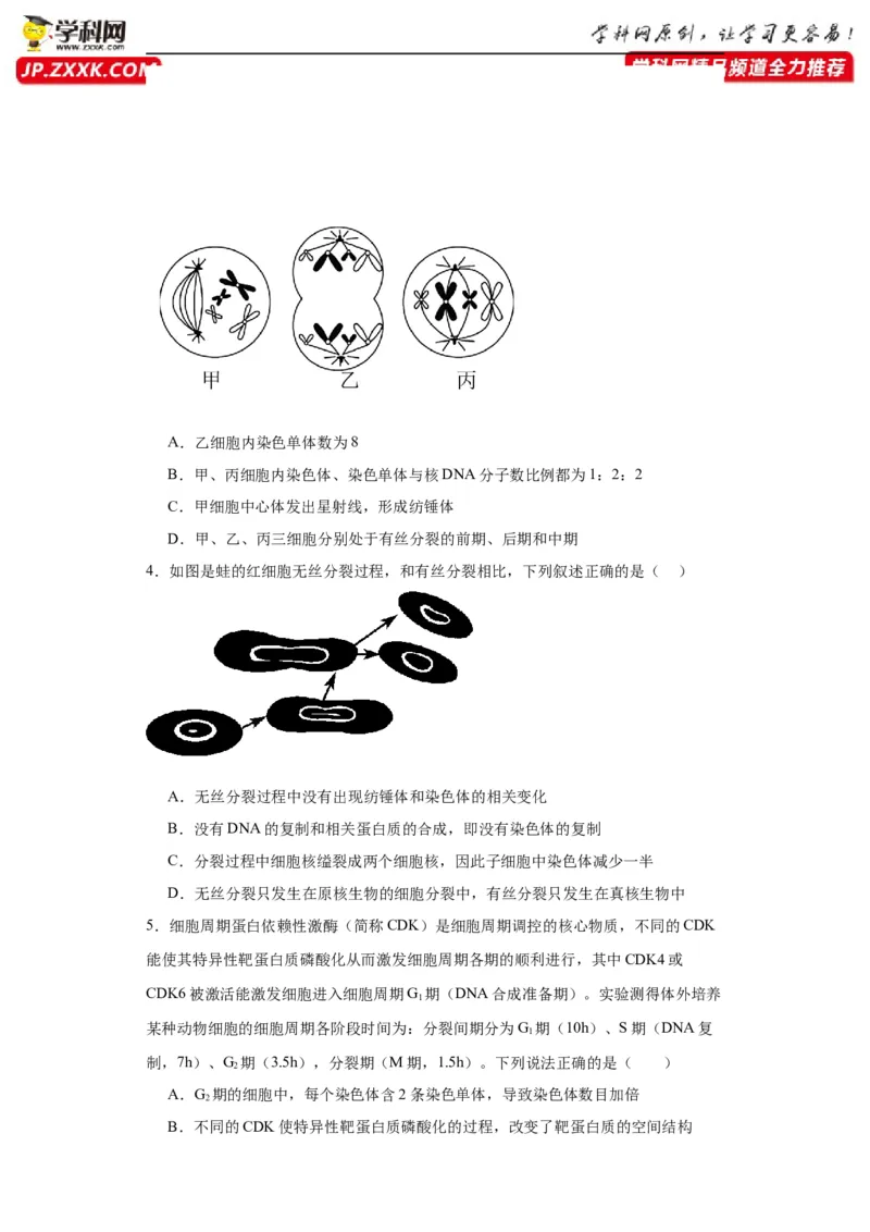 第四单元细胞的生命历程（测试卷）（原卷版)_2024年新高考资料_3.2024专项复习_备战2024年高考生物一轮复习重难点专项突破