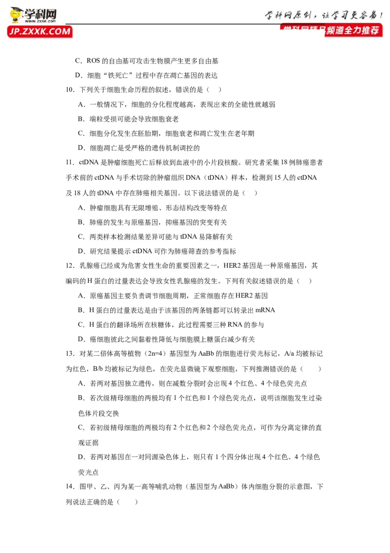 第四单元细胞的生命历程（测试卷）（原卷版)_2024年新高考资料_3.2024专项复习_备战2024年高考生物一轮复习重难点专项突破