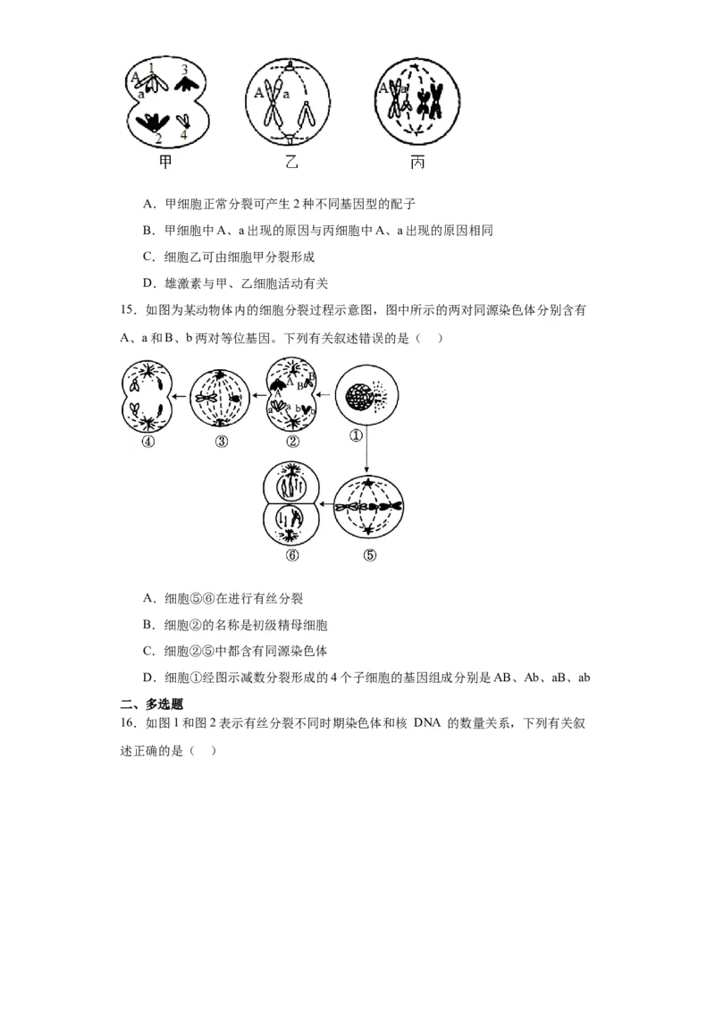 第四单元细胞的生命历程（测试卷）（原卷版)_2024年新高考资料_3.2024专项复习_备战2024年高考生物一轮复习重难点专项突破