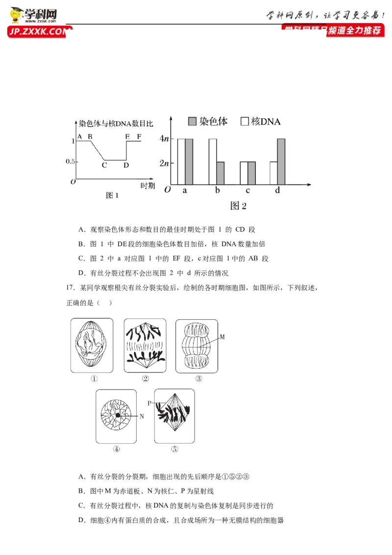 第四单元细胞的生命历程（测试卷）（原卷版)_2024年新高考资料_3.2024专项复习_备战2024年高考生物一轮复习重难点专项突破