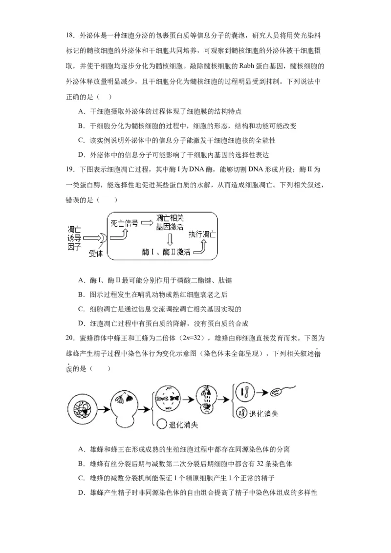 第四单元细胞的生命历程（测试卷）（原卷版)_2024年新高考资料_3.2024专项复习_备战2024年高考生物一轮复习重难点专项突破
