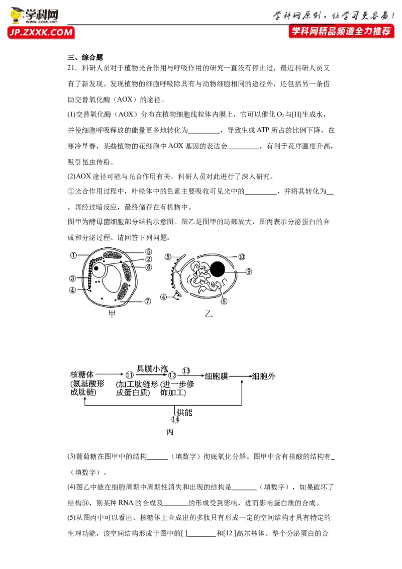 第四单元细胞的生命历程（测试卷）（原卷版)_2024年新高考资料_3.2024专项复习_备战2024年高考生物一轮复习重难点专项突破
