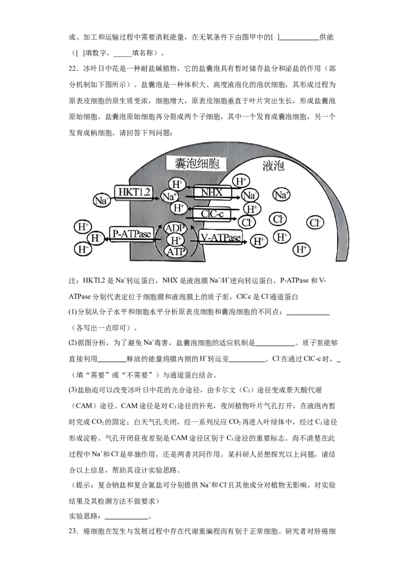 第四单元细胞的生命历程（测试卷）（原卷版)_2024年新高考资料_3.2024专项复习_备战2024年高考生物一轮复习重难点专项突破