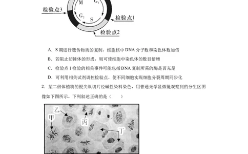 第四单元细胞的生命历程（测试卷）（原卷版)_2024年新高考资料_3.2024专项复习_备战2024年高考生物一轮复习重难点专项突破