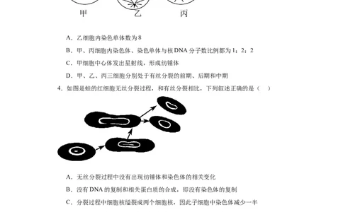 第四单元细胞的生命历程（测试卷）（原卷版)_2024年新高考资料_3.2024专项复习_备战2024年高考生物一轮复习重难点专项突破