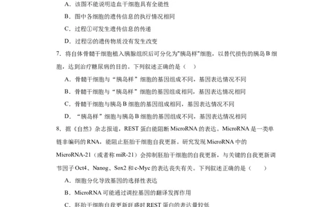 第四单元细胞的生命历程（测试卷）（原卷版)_2024年新高考资料_3.2024专项复习_备战2024年高考生物一轮复习重难点专项突破