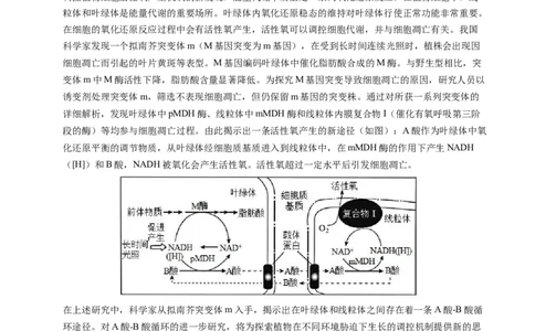 专题02细胞的结构和功能-学易金卷：五年（2019-2023）高考生物真题分项汇编（全国通用）（原卷版）_通用版（老高考）复习资料_2024年复习资料