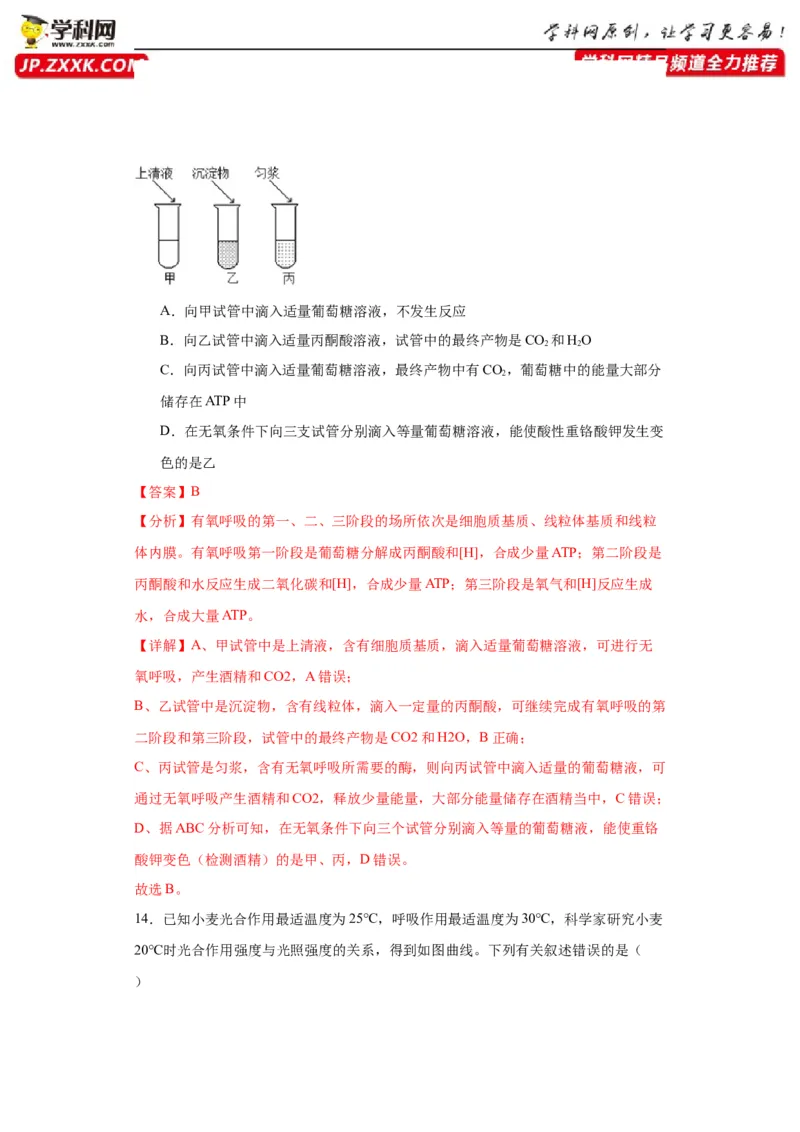 第三单元细胞的代谢（测试卷）（解析版)_2024年新高考资料_3.2024专项复习_备战2024年高考生物一轮复习重难点专项突破