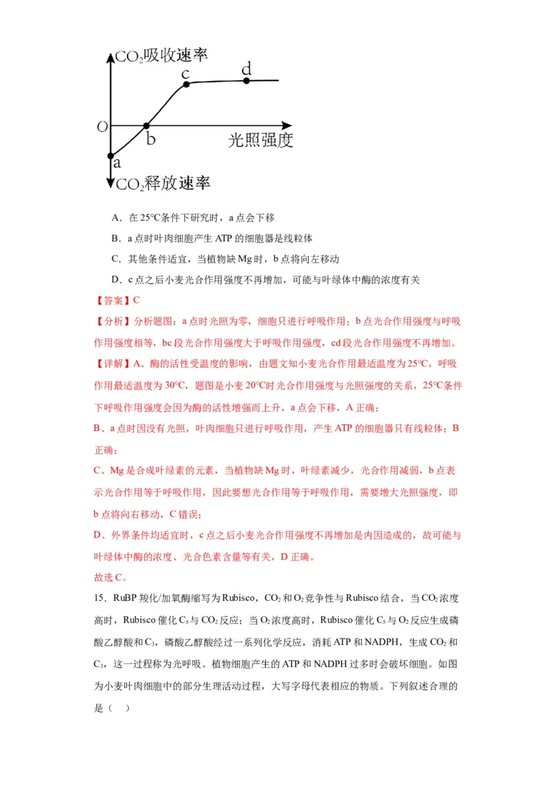 第三单元细胞的代谢（测试卷）（解析版)_2024年新高考资料_3.2024专项复习_备战2024年高考生物一轮复习重难点专项突破