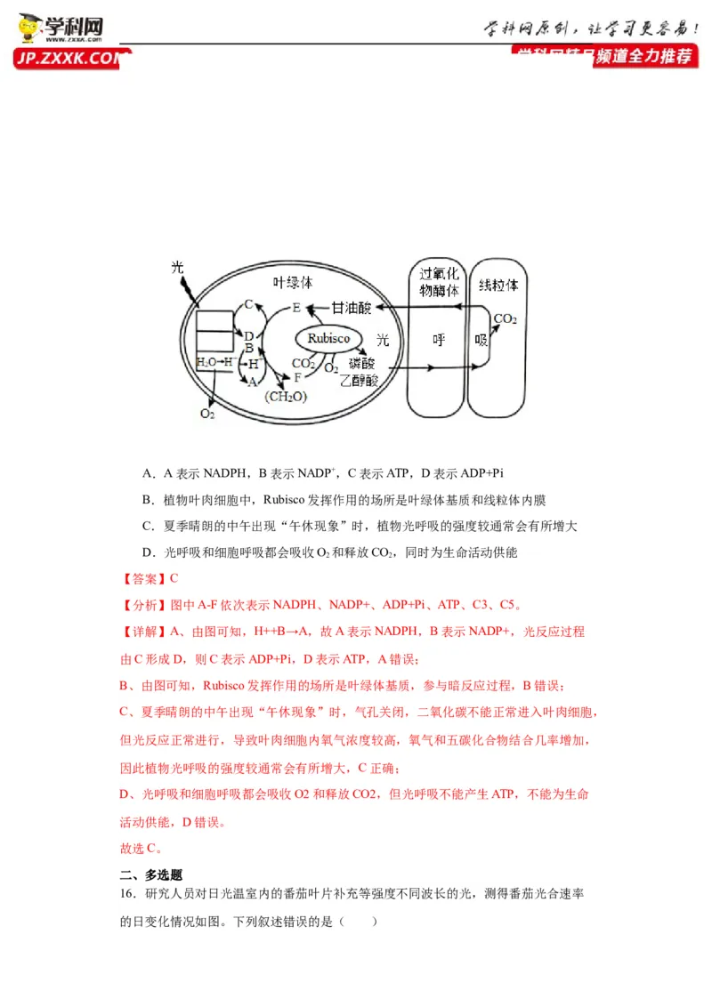 第三单元细胞的代谢（测试卷）（解析版)_2024年新高考资料_3.2024专项复习_备战2024年高考生物一轮复习重难点专项突破