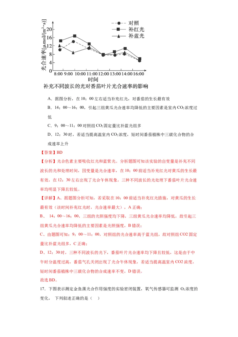 第三单元细胞的代谢（测试卷）（解析版)_2024年新高考资料_3.2024专项复习_备战2024年高考生物一轮复习重难点专项突破