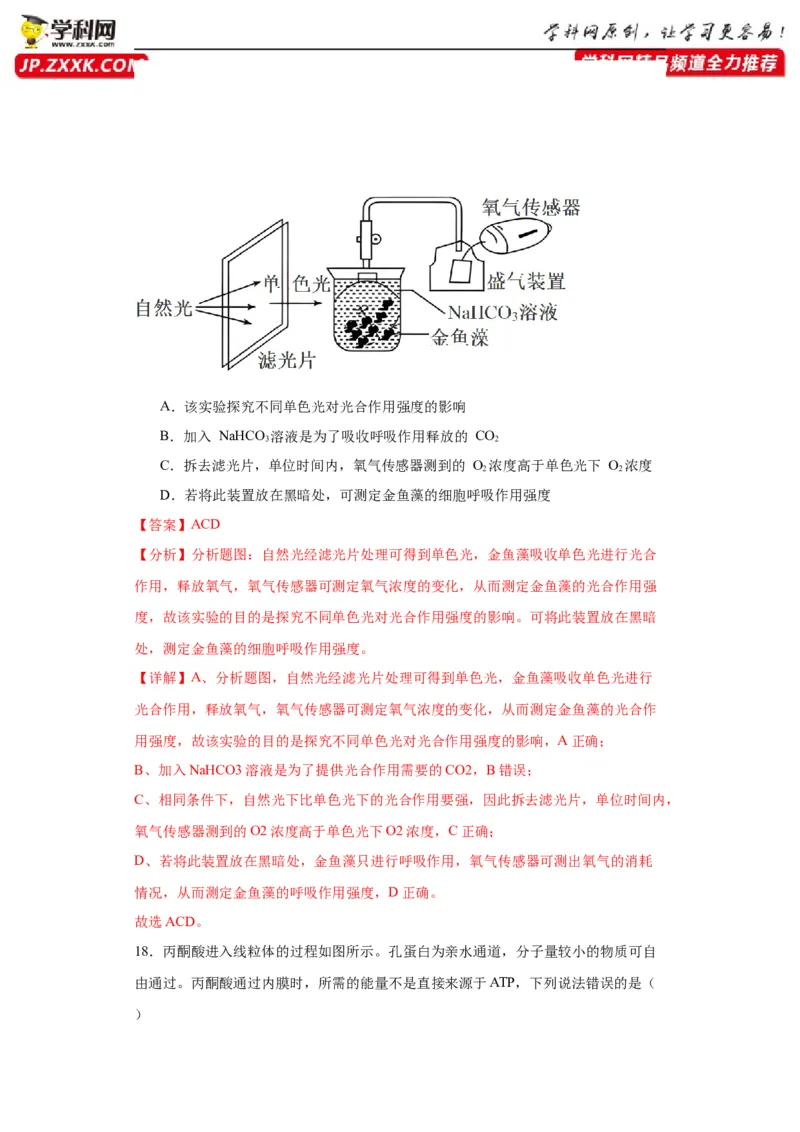 第三单元细胞的代谢（测试卷）（解析版)_2024年新高考资料_3.2024专项复习_备战2024年高考生物一轮复习重难点专项突破