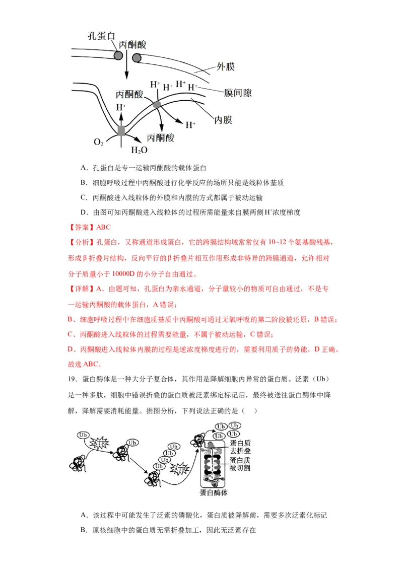 第三单元细胞的代谢（测试卷）（解析版)_2024年新高考资料_3.2024专项复习_备战2024年高考生物一轮复习重难点专项突破