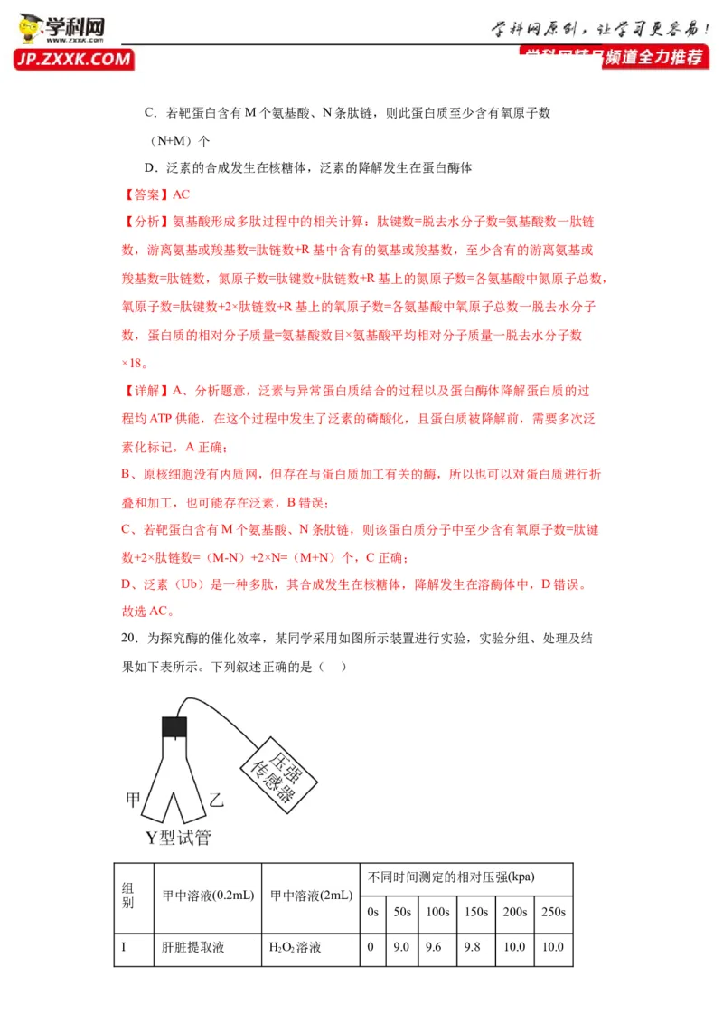 第三单元细胞的代谢（测试卷）（解析版)_2024年新高考资料_3.2024专项复习_备战2024年高考生物一轮复习重难点专项突破