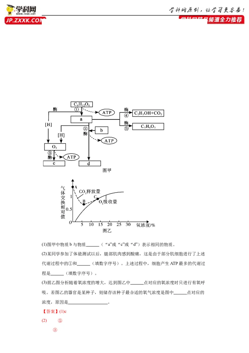 第三单元细胞的代谢（测试卷）（解析版)_2024年新高考资料_3.2024专项复习_备战2024年高考生物一轮复习重难点专项突破