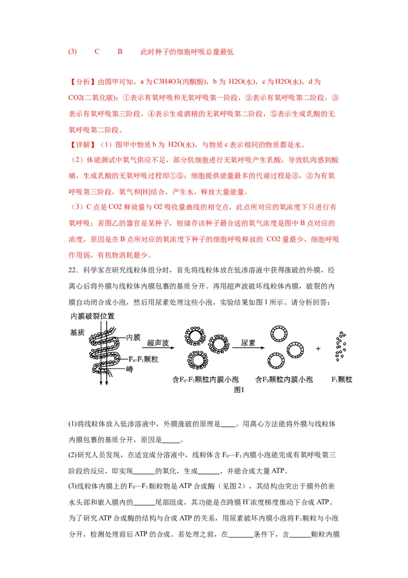 第三单元细胞的代谢（测试卷）（解析版)_2024年新高考资料_3.2024专项复习_备战2024年高考生物一轮复习重难点专项突破