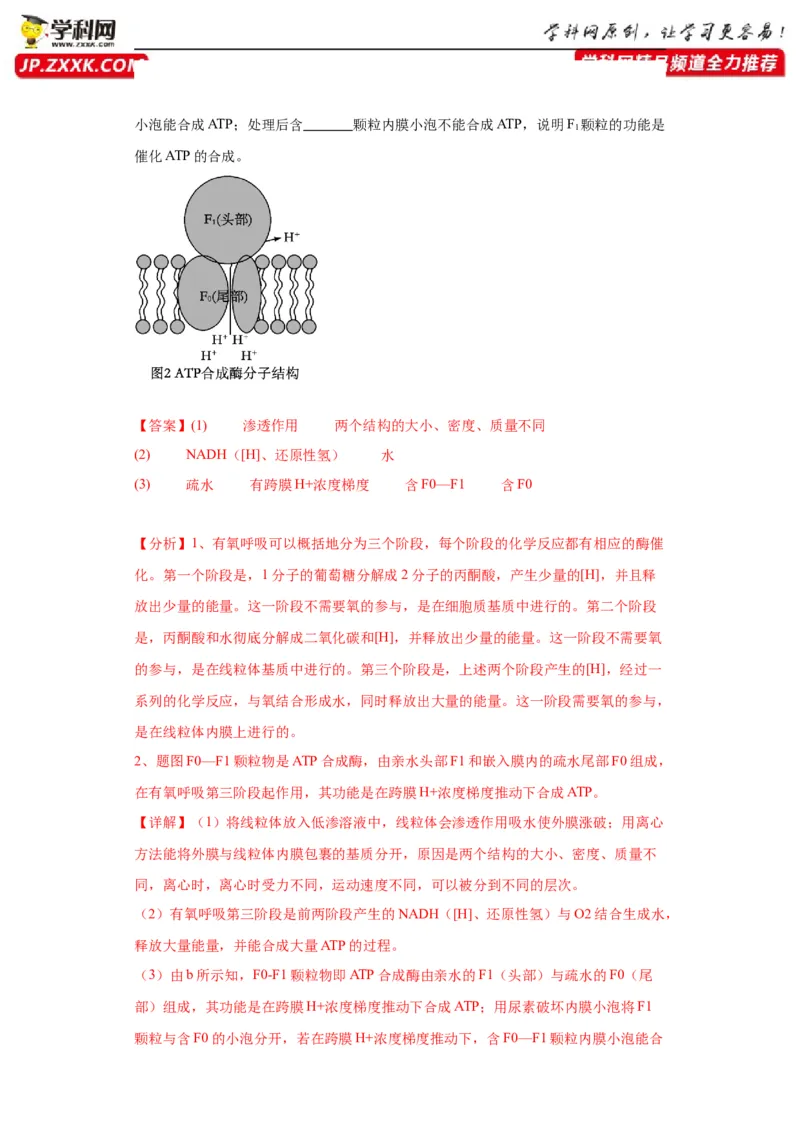 第三单元细胞的代谢（测试卷）（解析版)_2024年新高考资料_3.2024专项复习_备战2024年高考生物一轮复习重难点专项突破