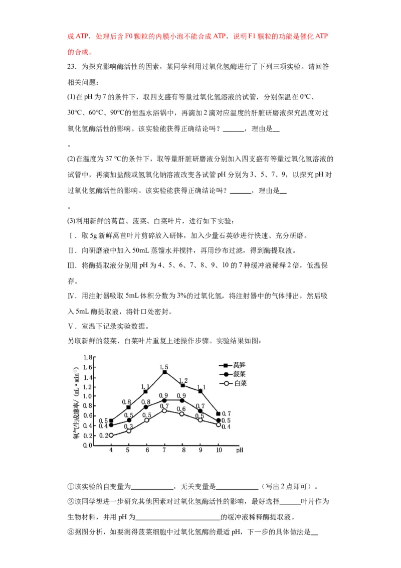 第三单元细胞的代谢（测试卷）（解析版)_2024年新高考资料_3.2024专项复习_备战2024年高考生物一轮复习重难点专项突破