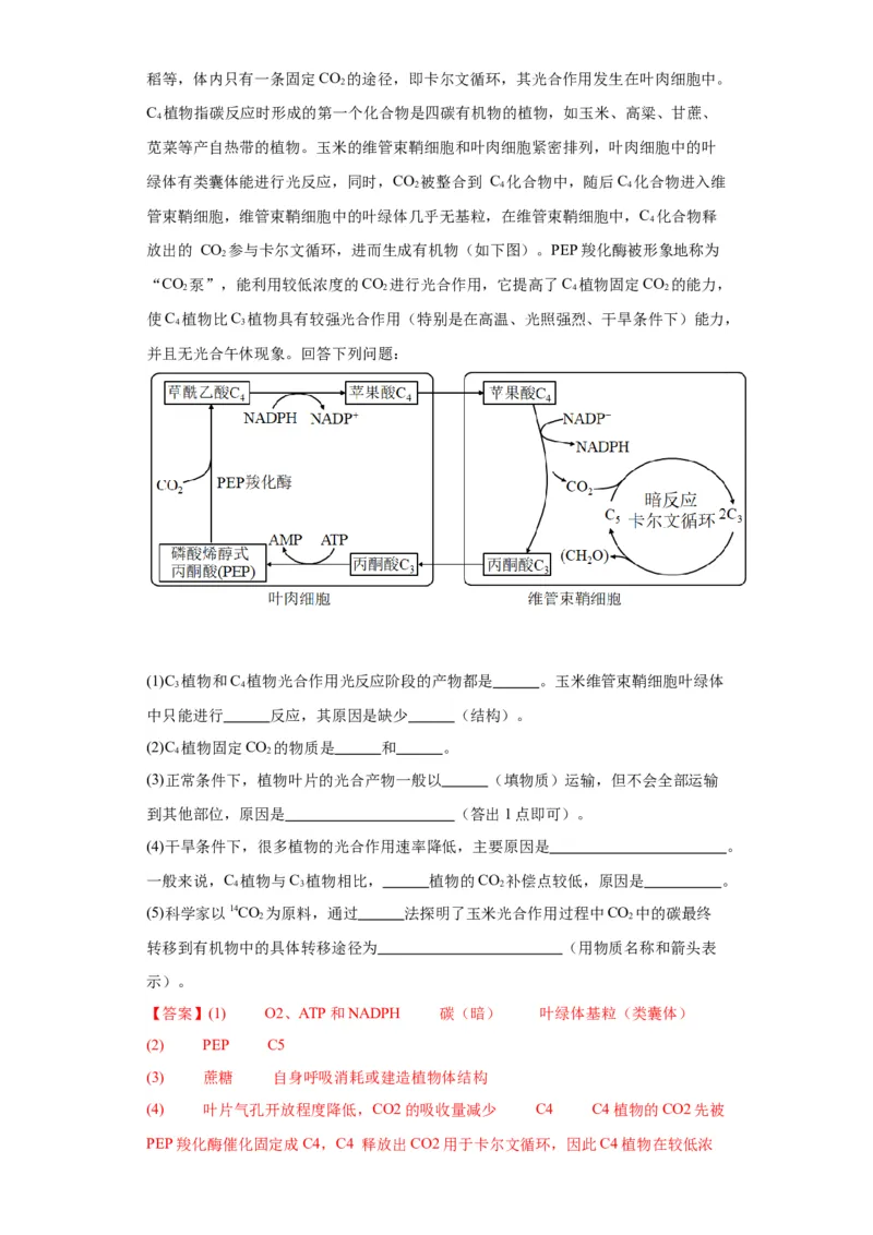 第三单元细胞的代谢（测试卷）（解析版)_2024年新高考资料_3.2024专项复习_备战2024年高考生物一轮复习重难点专项突破