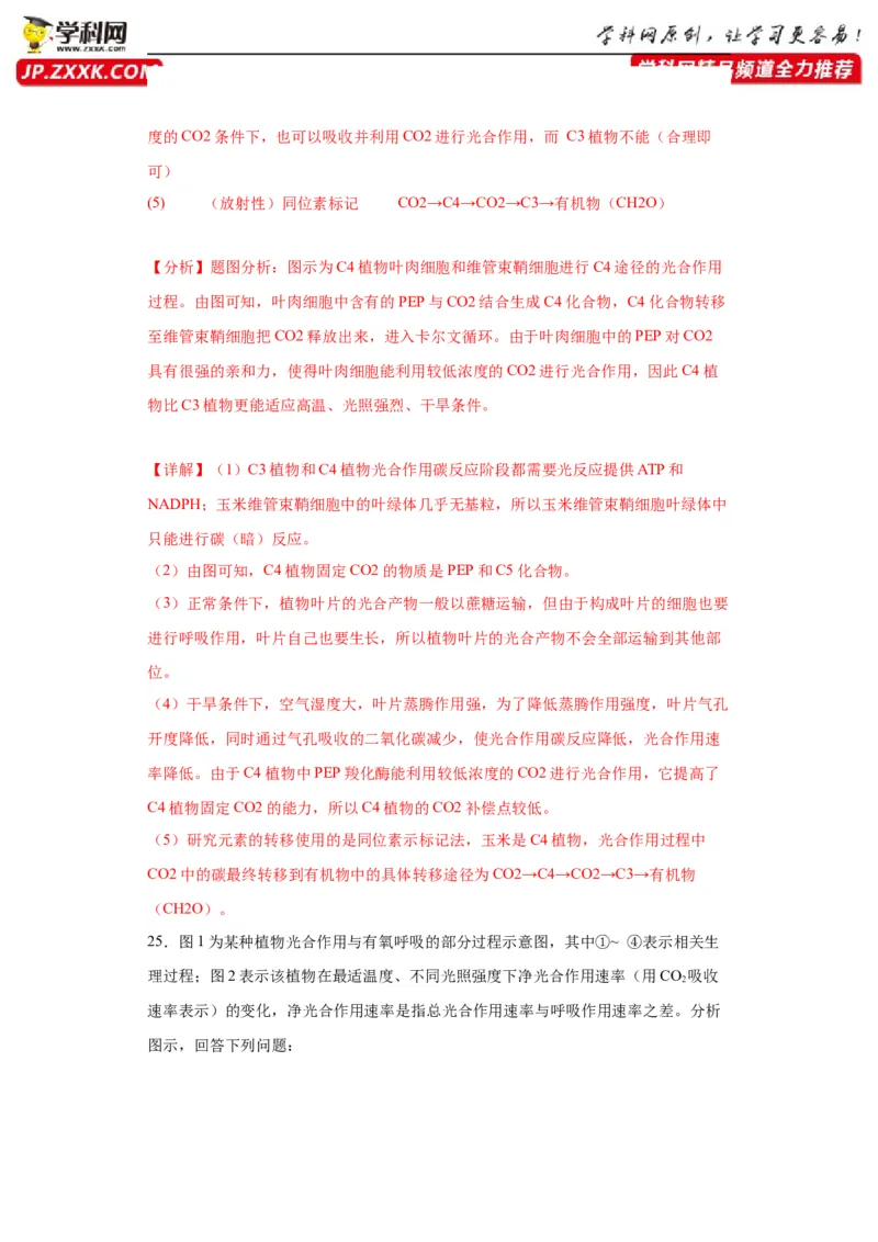 第三单元细胞的代谢（测试卷）（解析版)_2024年新高考资料_3.2024专项复习_备战2024年高考生物一轮复习重难点专项突破