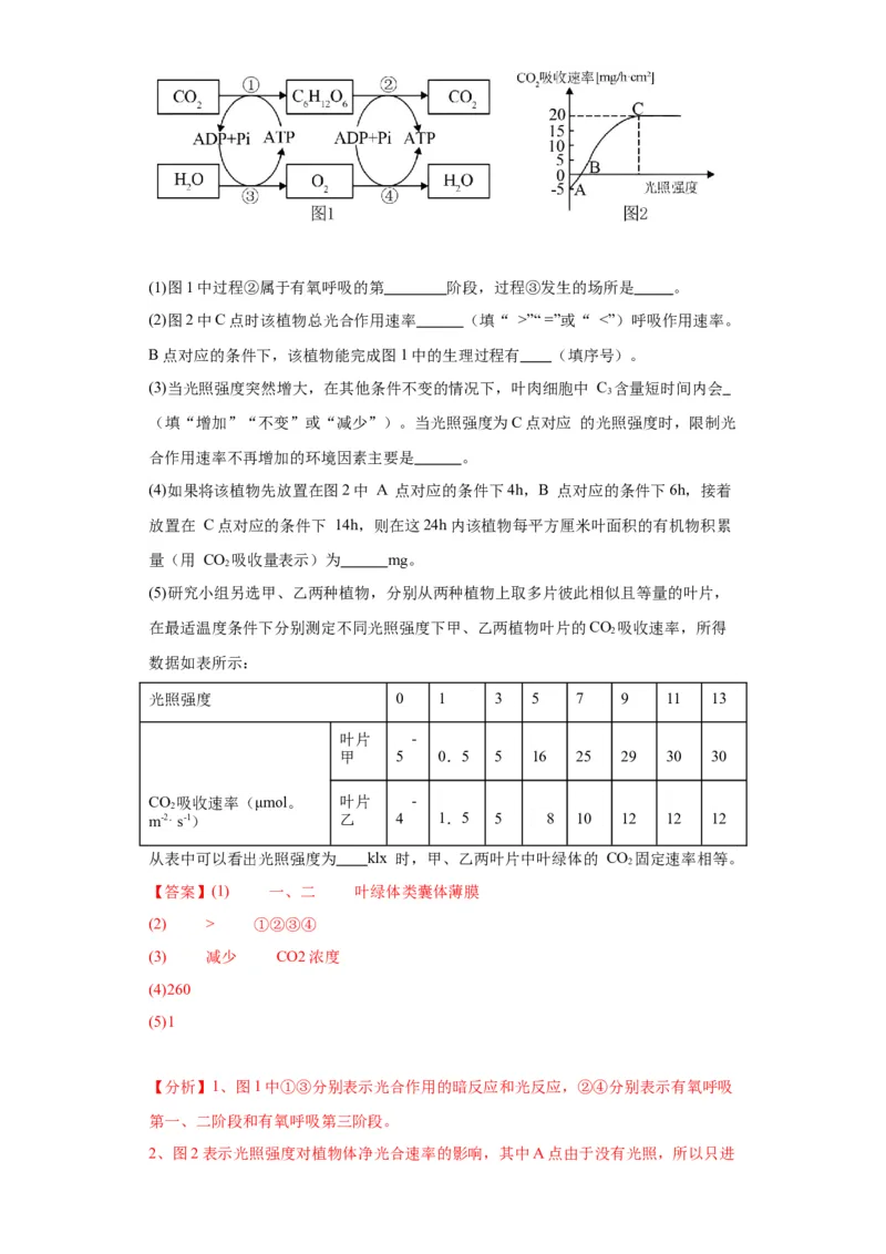 第三单元细胞的代谢（测试卷）（解析版)_2024年新高考资料_3.2024专项复习_备战2024年高考生物一轮复习重难点专项突破