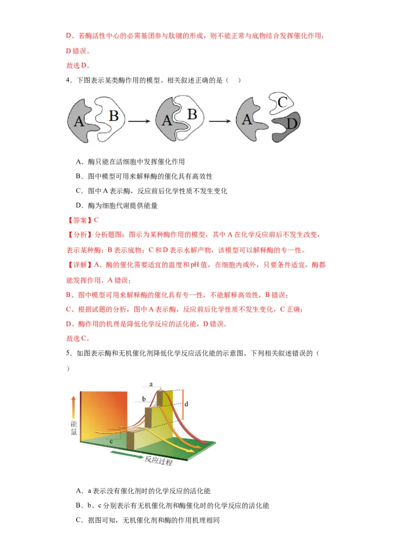 第三单元细胞的代谢（测试卷）（解析版)_2024年新高考资料_3.2024专项复习_备战2024年高考生物一轮复习重难点专项突破