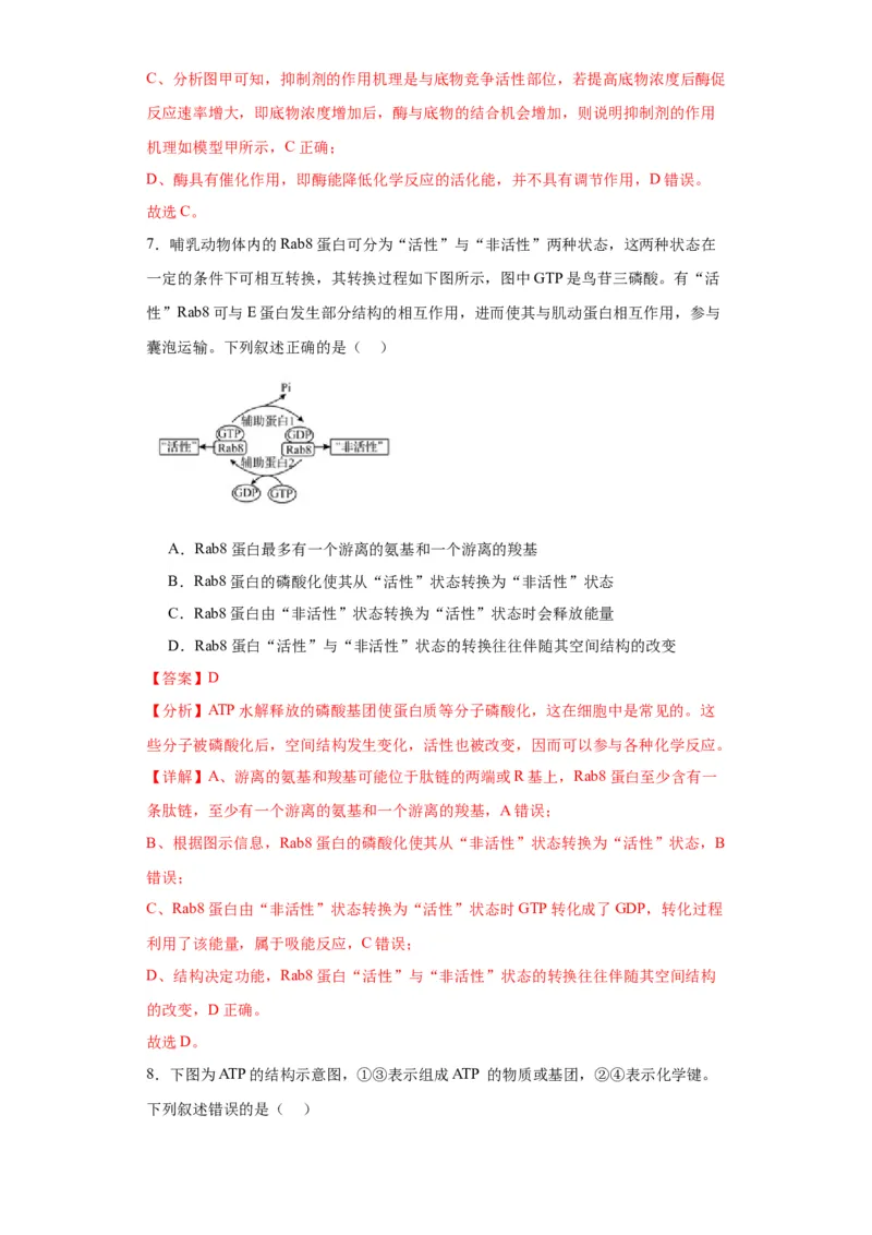 第三单元细胞的代谢（测试卷）（解析版)_2024年新高考资料_3.2024专项复习_备战2024年高考生物一轮复习重难点专项突破