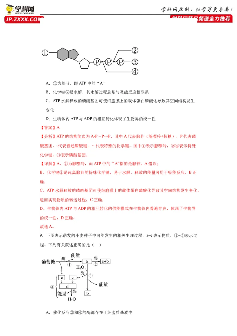 第三单元细胞的代谢（测试卷）（解析版)_2024年新高考资料_3.2024专项复习_备战2024年高考生物一轮复习重难点专项突破