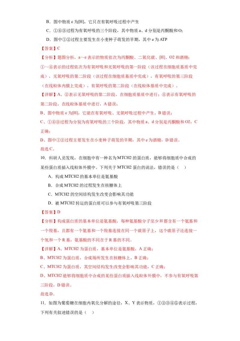 第三单元细胞的代谢（测试卷）（解析版)_2024年新高考资料_3.2024专项复习_备战2024年高考生物一轮复习重难点专项突破