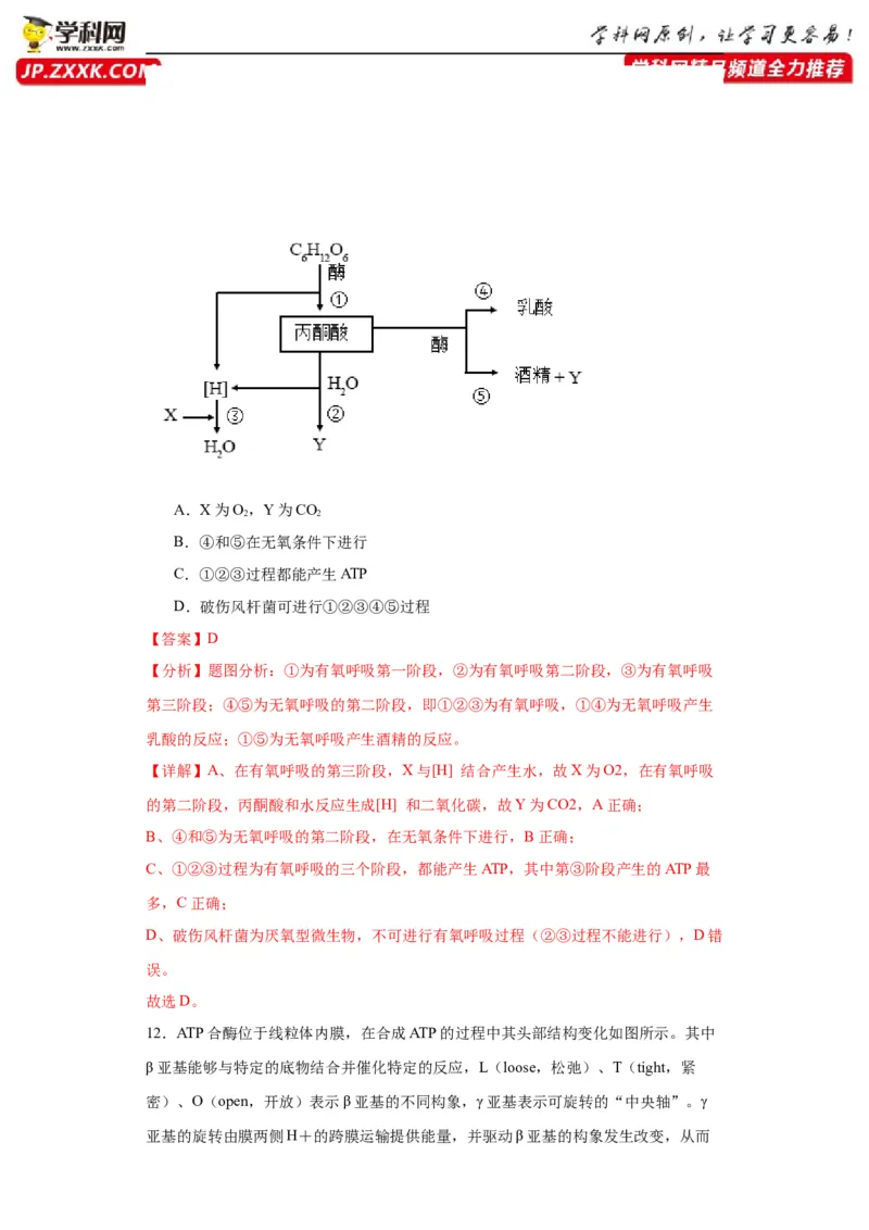 第三单元细胞的代谢（测试卷）（解析版)_2024年新高考资料_3.2024专项复习_备战2024年高考生物一轮复习重难点专项突破